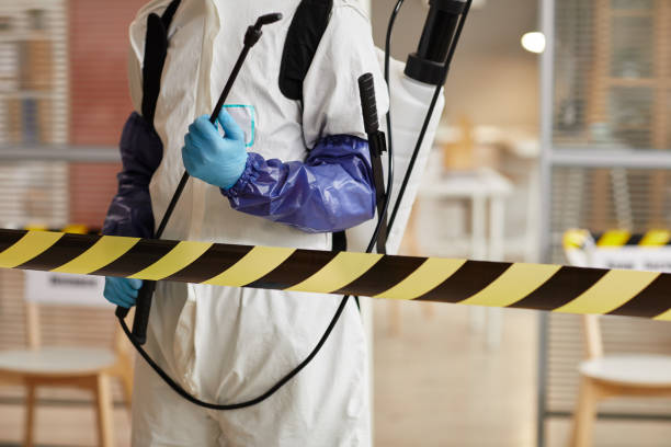 Professional Hoarding Cleanup technician working in Center Hill, FL